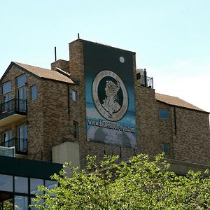 The Historic Blue Moon Hotel - Nyc